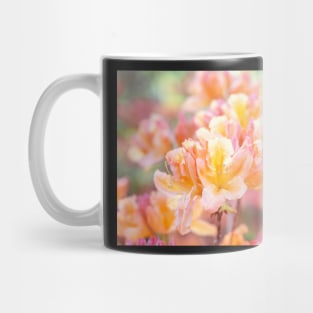 Orange and yellow rhododendrons blooming Mug